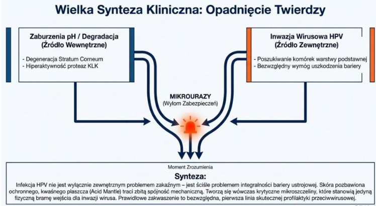 Ryc. 5. Wielka Synteza Kliniczna — infekcja HPV jako problem integralności bariery ustrojowej